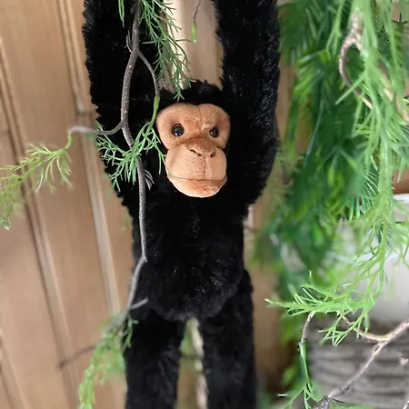 Serengeti Safari בית נופש סיג'אן