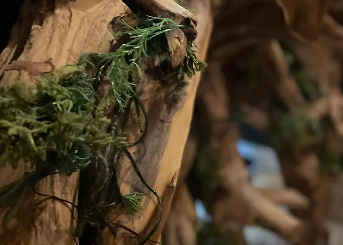 Ferienhaus Serengeti Safari